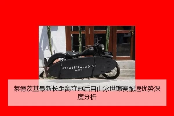 lai-de-ci-ji-zui-xin-zhang-ju-li-duo-guan-hou-zi-you-yong-shi-jin-sai-pei-su-you-shi-shen-du-fen-xi-2-452.jpg